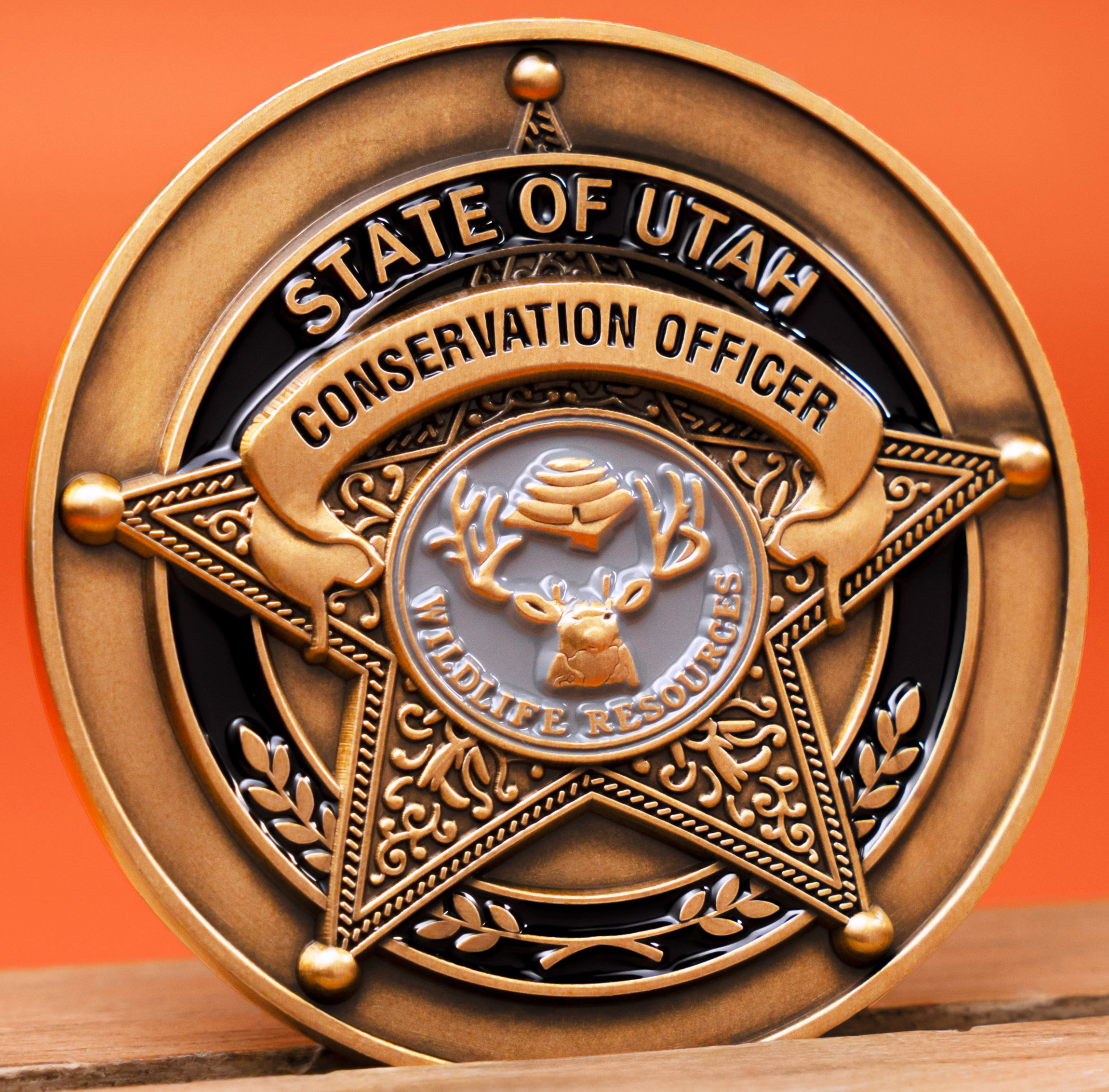 Soft Enamel On Both Sides - Challenge Coins